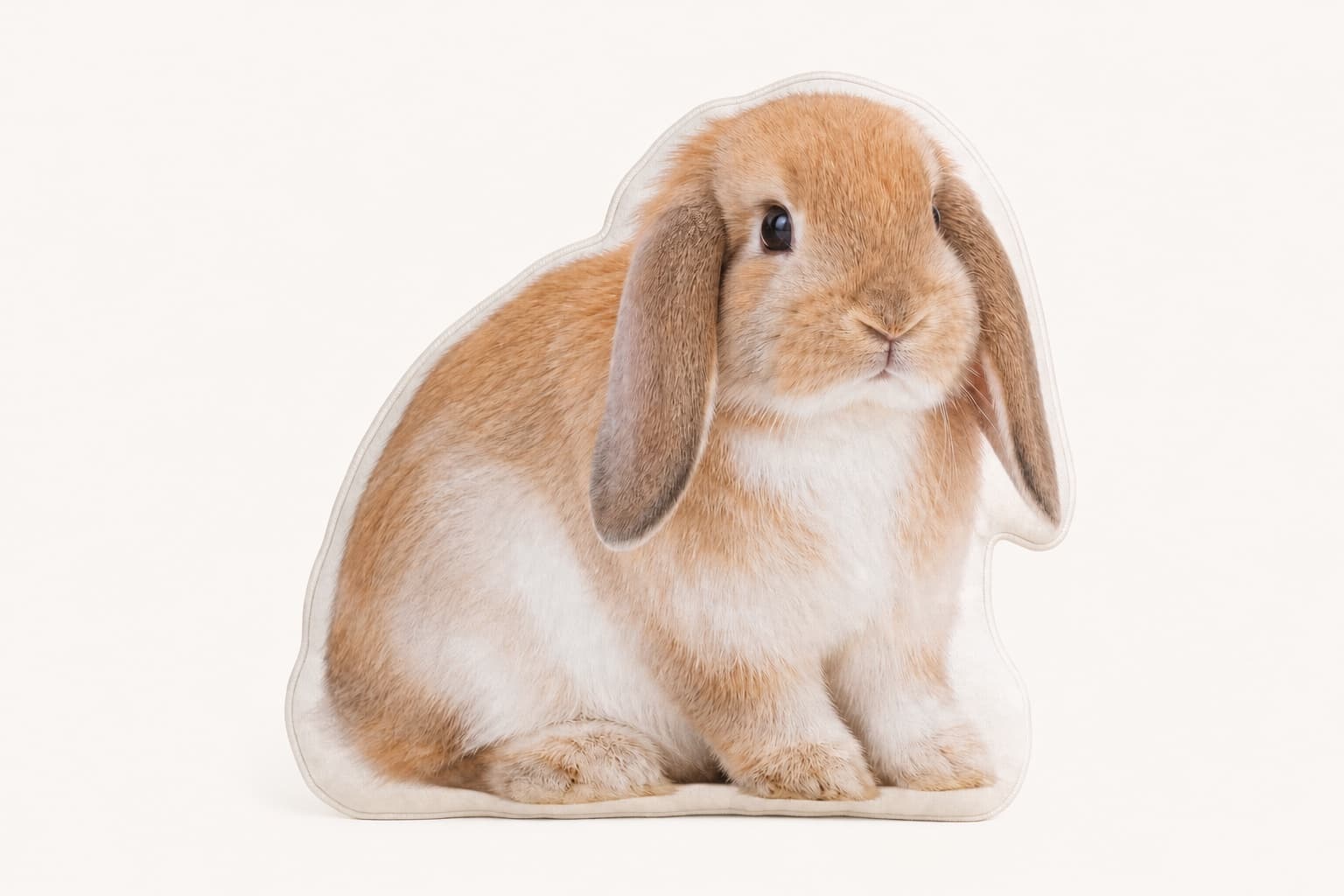 A lop-eared rabbit shaped photo pillow